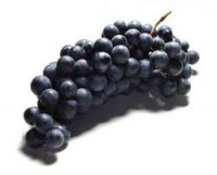 Uva negra